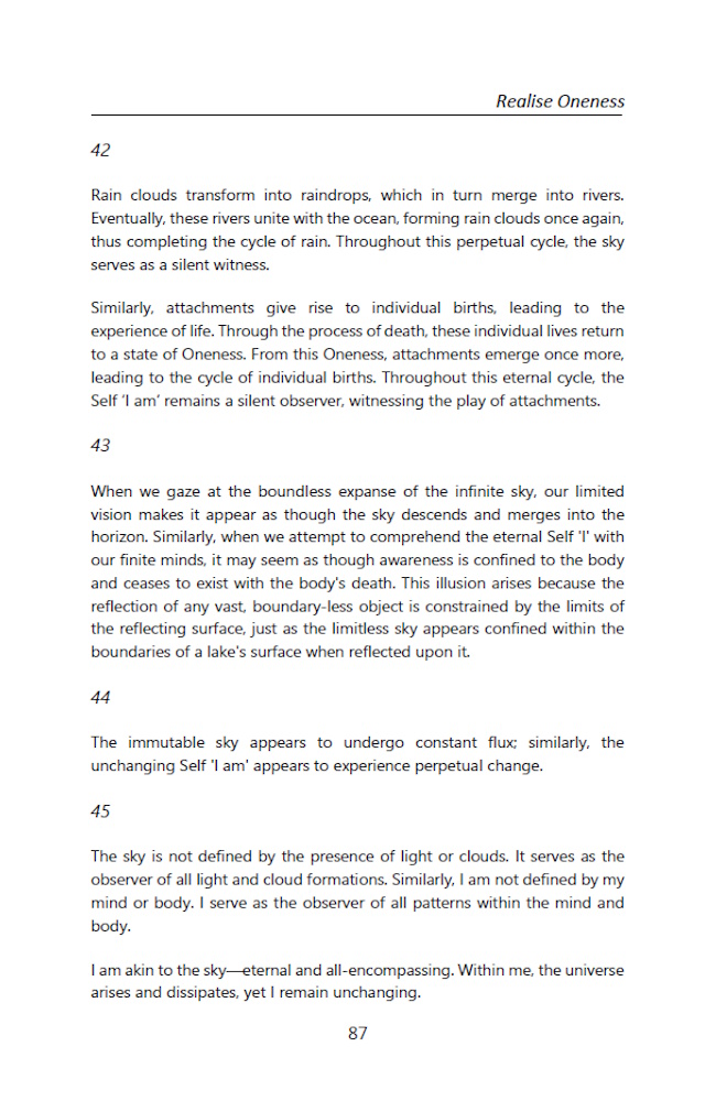 Realise Oneness - Transcending Death and Suffering (English Paperback | Kindle) - Image 3